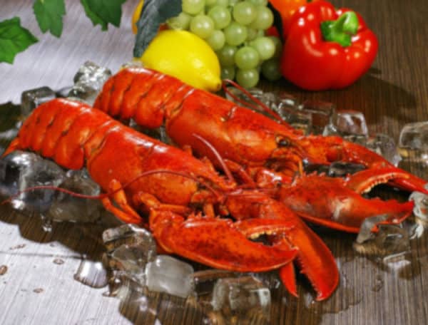 Signature Cuts Sustained & Traceable Seafood